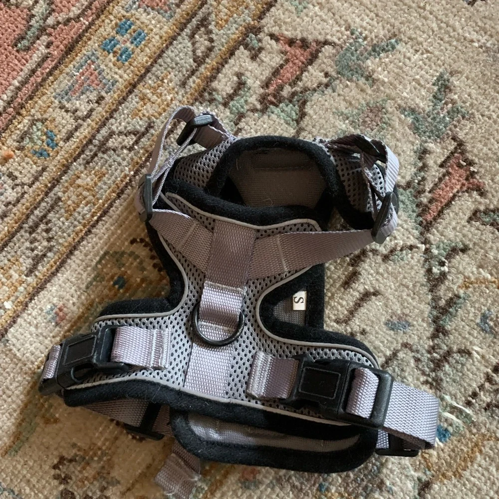 N/A rabitgoo small
